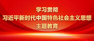 操逼搞黄网址学习贯彻习近平新时代中国特色社会主义思想主题教育_fororder_ad-371X160(2)